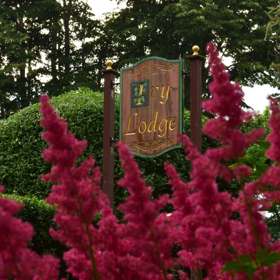 Ivy Lodge Newport Exterior photo